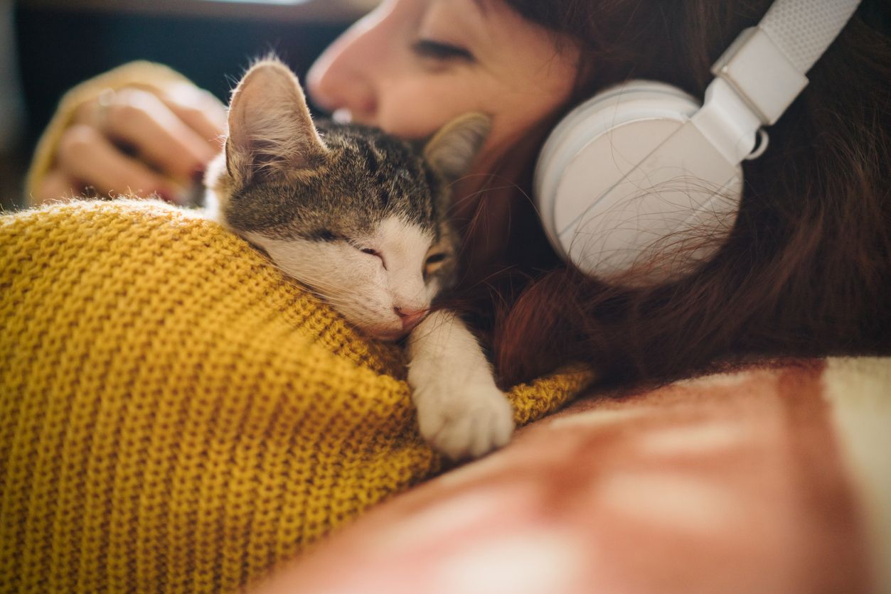 Child playing with cat at home. Kids and pets.