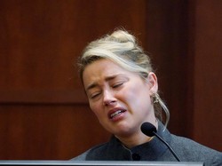 Kasus Amber Heard Soal Impor Anjing Ilegal Mencuat Lagi