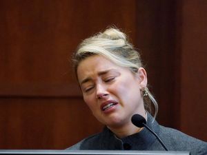 Kasus Amber Heard Soal Impor Anjing Ilegal Mencuat Lagi Kasus Amber Heard Soal Impor Anjing Ilegal Mencuat Lagi
