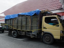 Gasak Kayu Ulin-Genset Rp 1 M, 19 Pencuri di Gudang Balikpapan Ditangkap