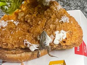 Bikin Trauma! Pria Ini Temukan Bangkai Kodok di Burger Pesanan Putrinya