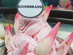 5 Gelato Rasa Lokal yang Unik, Ada Rasa Kecombrang hingga Kolak Pisang