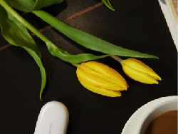 HUAWEI FreeBuds SE, TWS Kualitas Terbaik di Bawah Rp 500 Ribu