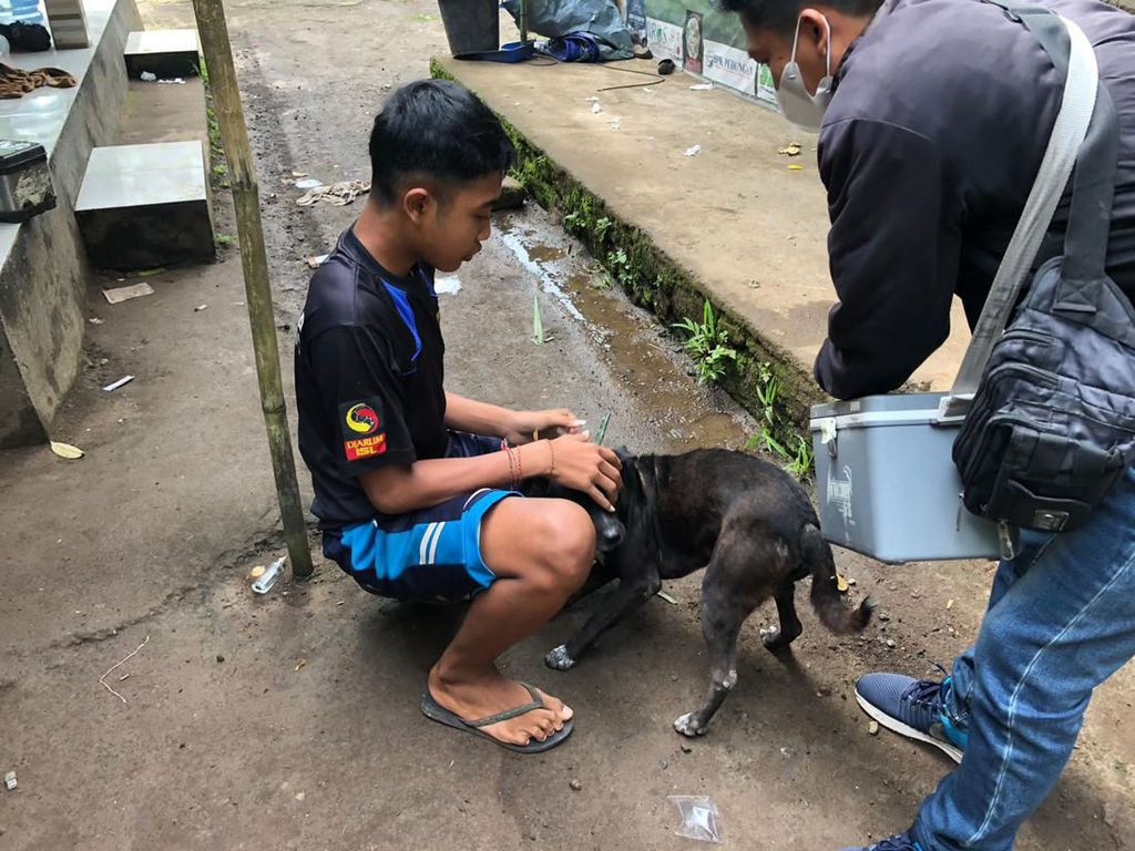 Picu Rabies, Anjing Liar Sulit Divaksinasi di Karangasem