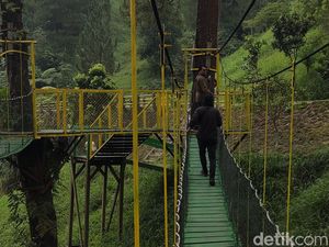 Jadi Lokasi Syuting KKN di Desa Penari, Jembatan Plunyon Ramai Wisatawan Jadi Lokasi Syuting KKN di Desa Penari, Jembatan Plunyon Ramai Wisatawan