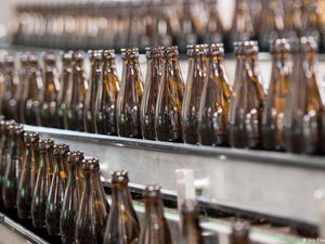 Harga Sebotol Bir Bisa Naik Rp 220 Ribu Selama Piala Dunia Qatar