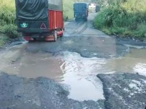 Viral Sopir Sembako Ngeluh Jalan Rusak di Bengkulu