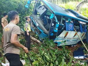 Bus Masuk Jurang di Pesisir Barat Lampung, 1 Tewas-31 Luka Bus Masuk Jurang di Pesisir Barat Lampung, 1 Tewas-31 Luka