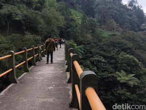 Pesona Plunyon Kalikuning: Jembatan Ikonik dengan Taman Tepi Sungai Pesona Plunyon Kalikuning: Jembatan Ikonik dengan Taman Tepi Sungai