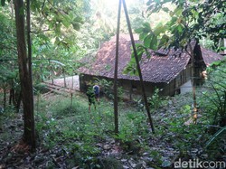 Rumah Lokasi Syuting KKN di Desa Penari Kini Tak Berpenghuni, Begini Kondisinya