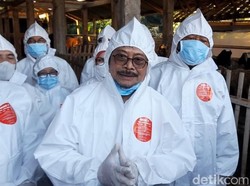 Hewan Terjangkit PMK, Mentan Syahrul: Boleh Dikonsumsi, Asal..