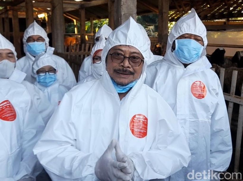 Menteri Pertanian Jamin Idul Adha Tak Terganggu Wabah PMK Menteri Pertanian Jamin Idul Adha Tak Terganggu Wabah PMK