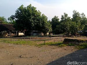 Pasar Hewan Kajen Ditutup Cegah Penyebaran Penyakit Mulut dan Kuku