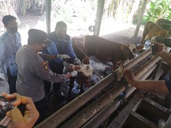 Begini Langkah Pemkab Ponorogo Antisipasi Penyakit Mulut & Kuku Hewan