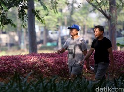 Sepekan COVID-19 Harian di Atas Seribu, Catat Pesan Satgas