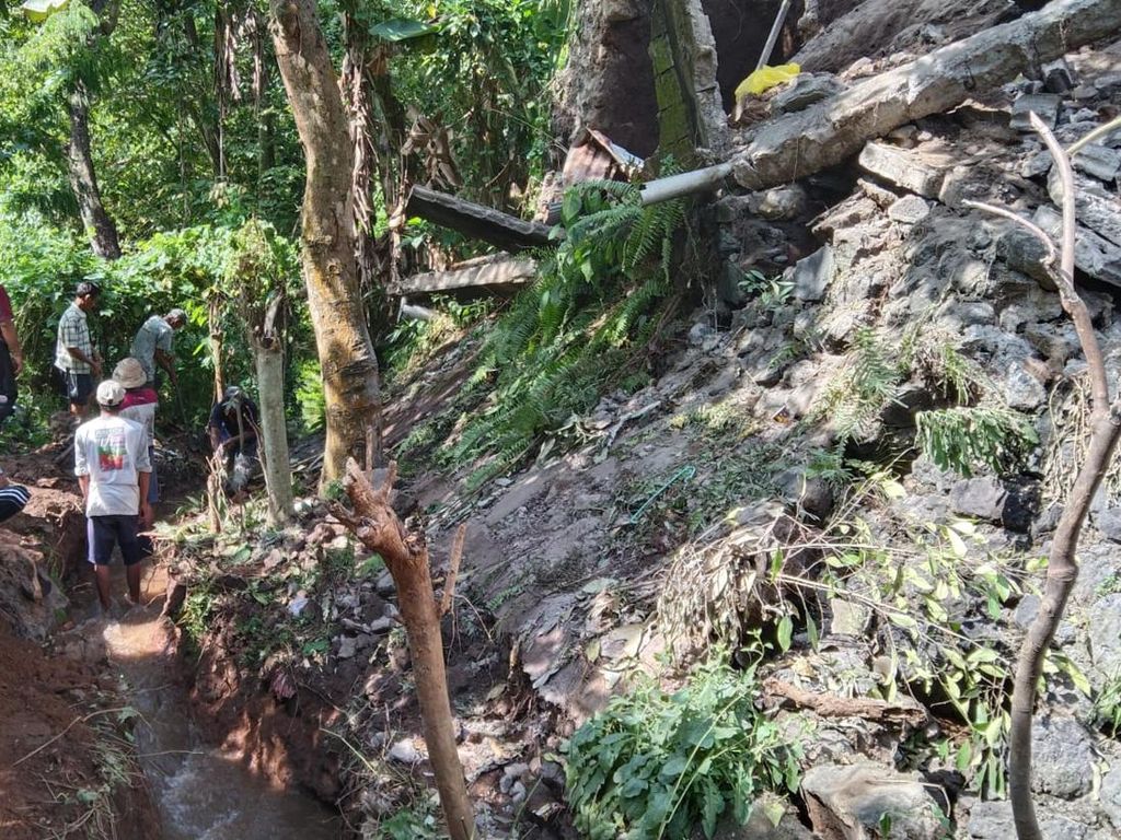 Senderan Jebol, 20 Hektar Sawah di Penarukan Terancam Kekeringan