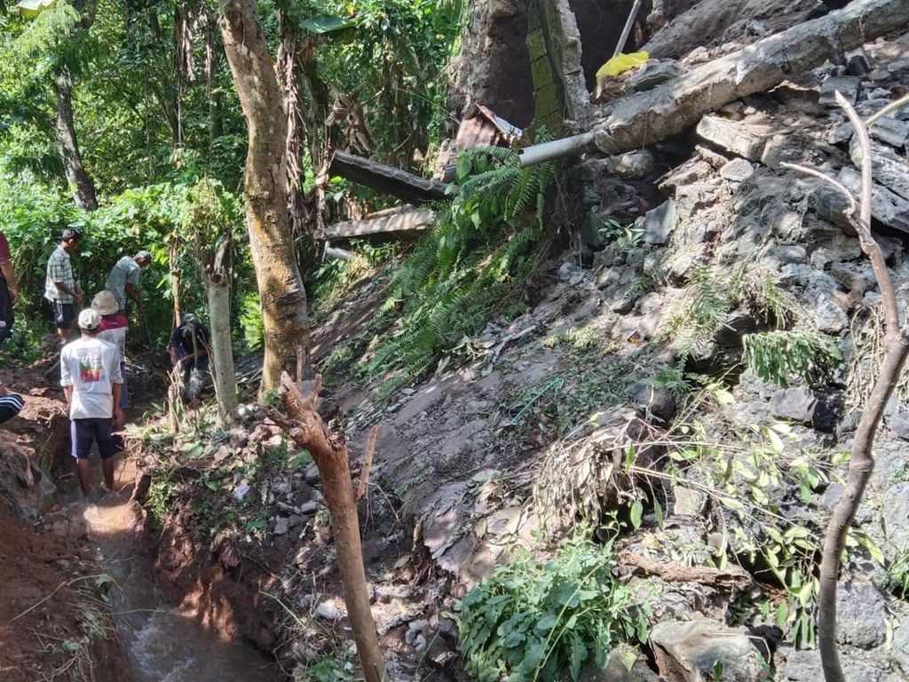 Senderan Jebol, 20 Hektar Sawah di Penarukan Terancam Kekeringan Senderan Jebol, 20 Hektar Sawah di Penarukan Terancam Kekeringan