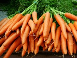 6 Manfaat Wortel bagi Kesehatan jika Dikonsumsi Setiap Hari dan Kandungannya