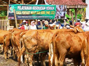 Warga Jatim, Hewan Ternak Kena Wabah PMK Tak Layak untuk Kurban