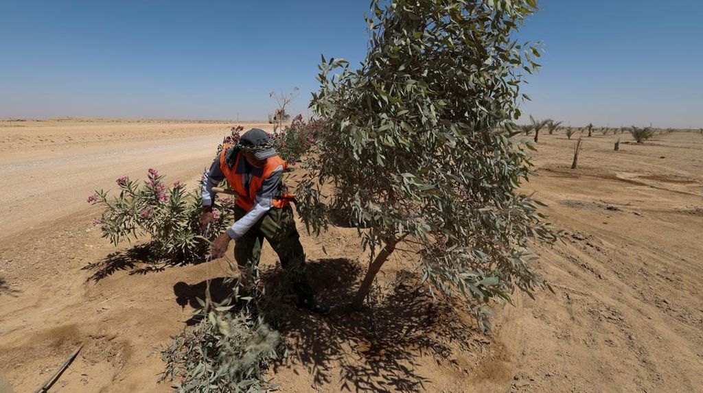 Irak Tanam Puluhan Ribu Pohon untuk Atasi Badai Pasir