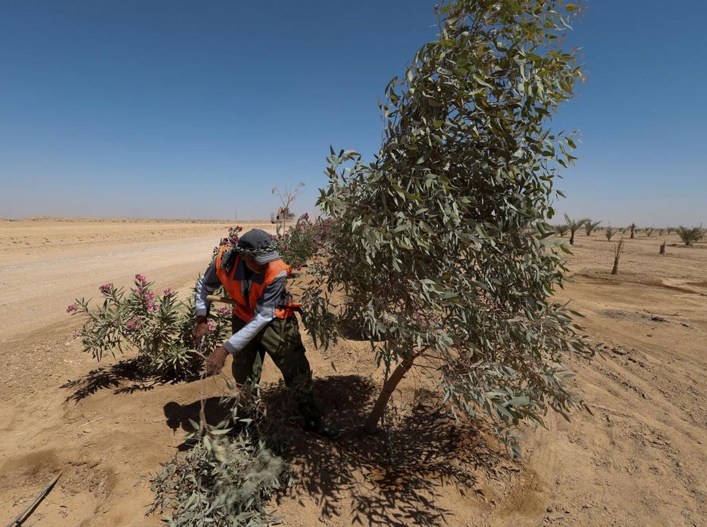 Irak Tanam Puluhan Ribu Pohon untuk Atasi Badai Pasir