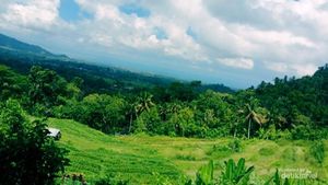 Potret Pesona Bukit Jambul di Karangasem Bali
