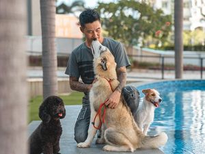 Tak Hanya Makan Rutin, Ini yang Dibutuhkan Hewan Peliharaan