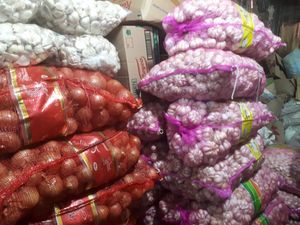 BPS Ungkap Sayuran Impor Banjiri RI, Apa Aja Sih Barangnya?