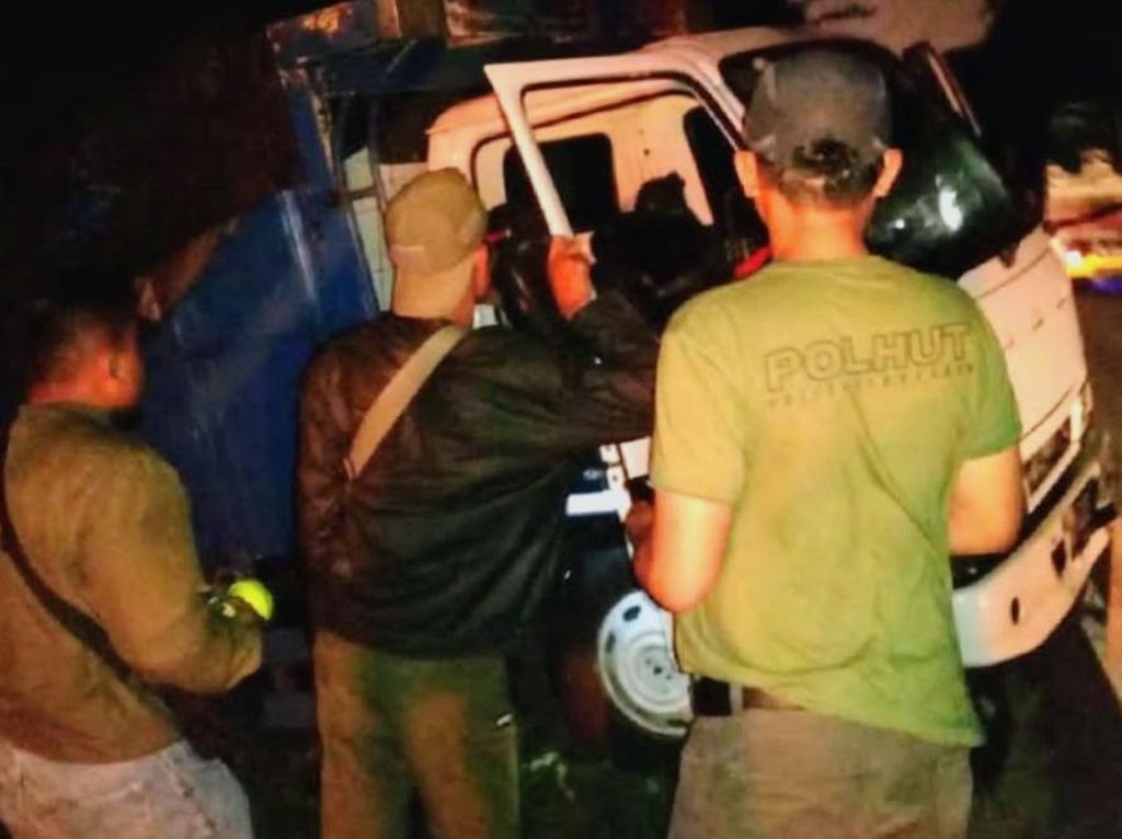 Polisi Hutan TN Baluran Amankan Truk Muat 33 Kayu Jati Gelondongan Polisi Hutan TN Baluran Amankan Truk Muat 33 Kayu Jati Gelondongan