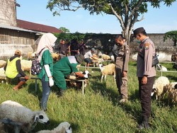 Jelang Idul Adha, Petugas Gabungan Bojonegoro Pantau Pasar Hewan saat Wabah PMK