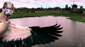 Bikin Ngakak, Deretan Aksi Konyol Burung yang Terekam Kamera