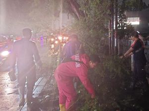 2 Pemotor Tertimpa Pohon Tumbang di Tangerang Saat Hujan Angin 2 Pemotor Tertimpa Pohon Tumbang di Tangerang Saat Hujan Angin