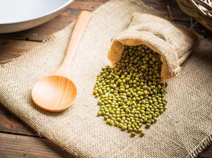 5 Cara Menanam Kacang Hijau di Kapas agar Tumbuh Subur Beserta Alat-Bahannya 5 Cara Menanam Kacang Hijau di Kapas agar Tumbuh Subur Beserta Alat-Bahannya