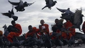 Ketika Biksu Cilik Memberi Makan Merpati