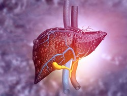 Samakah Pengobatan Pasien Hepatitis Misterius dengan Hepatitis Lainnya?