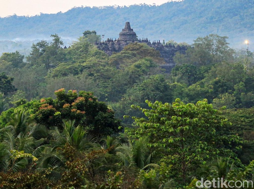 Dirut TWC: Tiket Masuk Borobudur Rp 50 Ribu, Rp 750 Ribu Buat Naik Candi