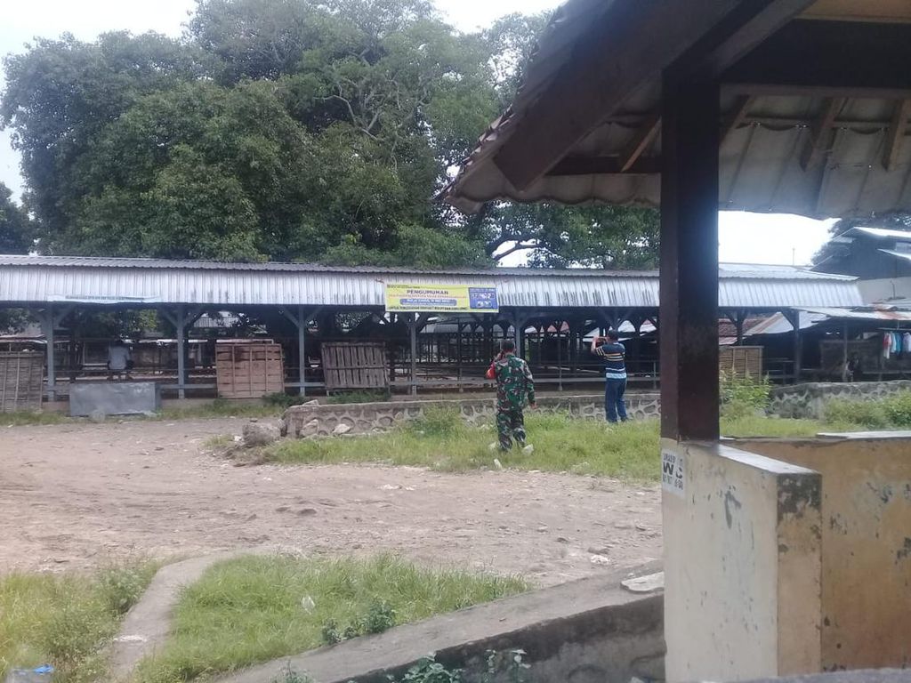 Antisipasi Virus PMK Pada Ternak, Pasar Hewan di Mataram Ditutup
