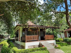 Menginap di Plataran Menjangan, Bisa Healing di Tengah Hutan Bali Menginap di Plataran Menjangan, Bisa Healing di Tengah Hutan Bali