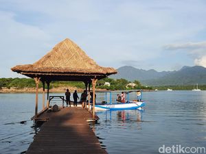Jelang G20, Plataran Menjangan Siapkan Aktivitas Ekowisata untuk Tamu