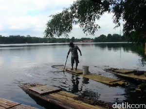 Heboh Penunggu Danau di Lumajang Ternyata Gerombolan Ikan Heboh Penunggu Danau di Lumajang Ternyata Gerombolan Ikan