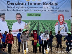 Target Swasembada 2026, Kementan Kejar Produksi Kedelai 1 Juta Ton Tahun Ini