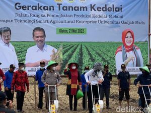 Target Swasembada 2026, Kementan Kejar Produksi Kedelai 1 Juta Ton Tahun Ini Target Swasembada 2026, Kementan Kejar Produksi Kedelai 1 Juta Ton Tahun Ini