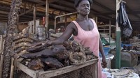 Congo yang Masuk Daftar Negara Termiskin di Dunia, Begini Suasana Pasar Tradisionalnya
