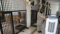 Pakistan Panas Banget, Kandang Singa Sampai Dipasangi AC