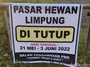 Ternak Terjangkit PMK Bertambah, 3 Pasar Hewan di Batang Ini Ditutup