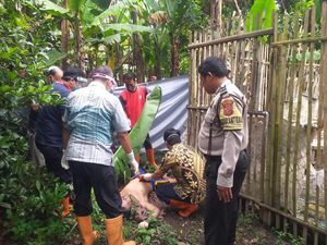 Pamit Cari Belimbing, Warga Majalengka Ditemukan Tewas