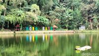 Rowo Bayu yang Dikaitkan dengan KKN di Desa Penari Punya Spot Angker
