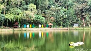 Rowo Bayu yang Dikaitkan dengan KKN di Desa Penari Punya Spot Angker