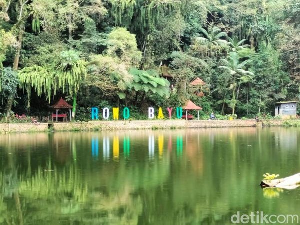 Rowo Bayu yang Dikaitkan dengan KKN di Desa Penari Punya Spot Angker