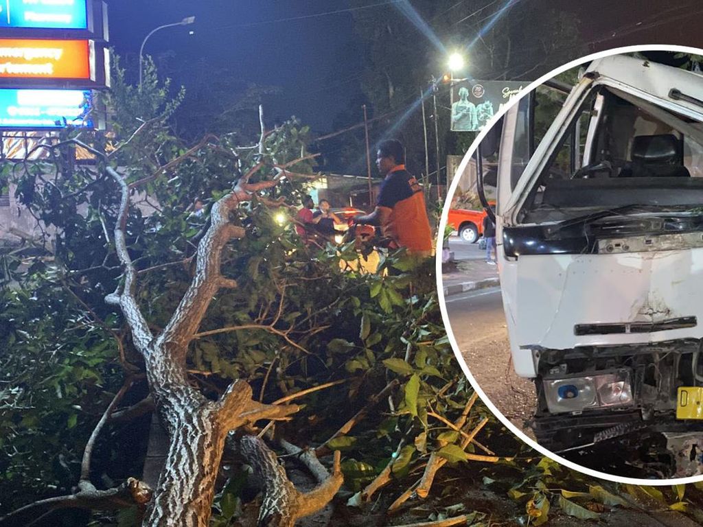 Rem Blong, Truk Molen Tabrak Pohon di depan RS Bali Jimbaran Rem Blong, Truk Molen Tabrak Pohon di depan RS Bali Jimbaran